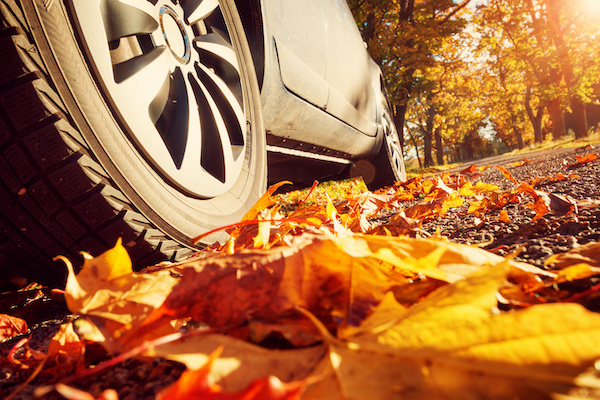 "Fall" Car Care Month in Orange Park, FL