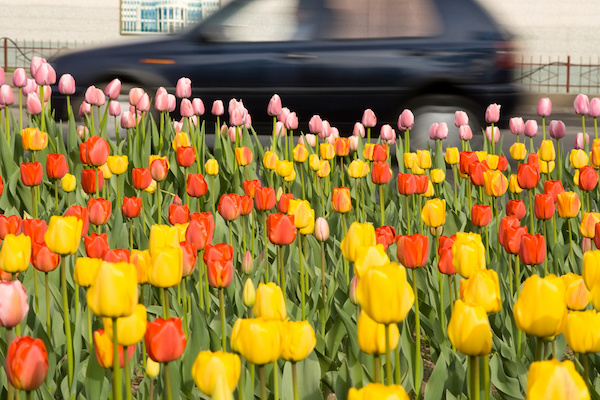 Ways To Freshen Up Your Car For Spring